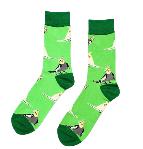 Green socks with cockatiels laid flat 