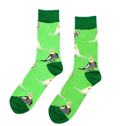 Green socks with cockatiels laid flat 