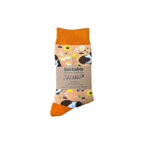 Orange guinea pig socks labelled for fundraising or gifting