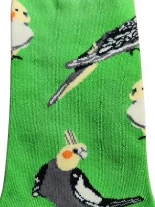 Large novelty socks with cockatiel print for Men 9–11, Women 8–11